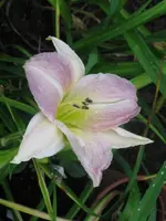weiß_576x768.webp
