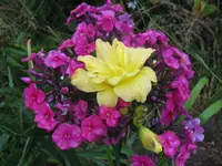 011_1024x768.webp