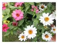 002.webp