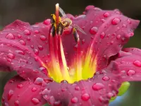 032.webp