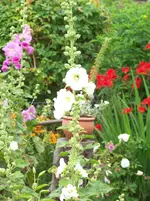 048.webp