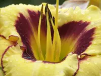 021.webp
