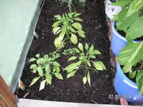 PICT0020.webp