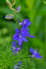 1 (22).webp