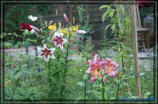 comp_DSC02003.webp