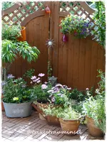 130.webp