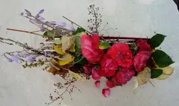 SommerAufräumen (1).webp