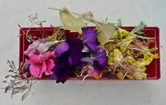 SommerAufräumen (2).webp