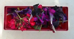 SommerAufräumen (3).webp
