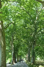 2014_0703sommer0045.webp