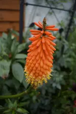 _DSC6362.webp