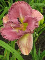 fragezeichen_576x768.webp
