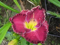 linda beck1_1024x768.webp