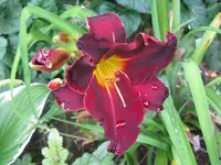 lotta 1_1024x768.webp