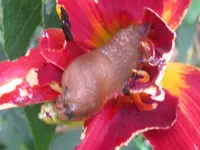 098_1024x768.webp