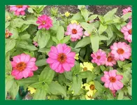001.webp