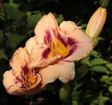 08_15 140714.webp