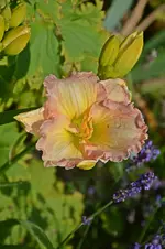 DSC_2078.webp