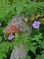 DSC_2090.webp