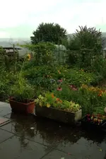 Garten.webp