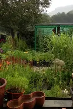 Garten2.webp