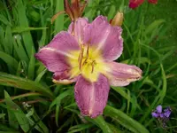 k-DSCI2775.webp
