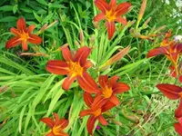 k-DSCI2774.webp