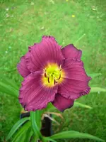 k-DSCI2776.webp