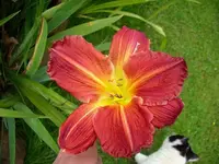 k-DSCI2777.webp