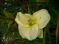 k-DSCI2778.webp