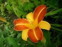 k-DSCI2779.webp