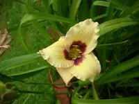 k-DSCI2783.webp
