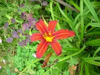 k-DSCI2782.webp