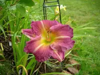k-DSCI2785.webp