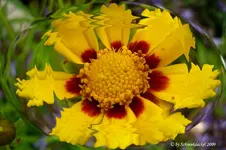 16 Kopie.webp