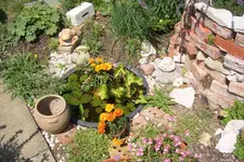CIMG4837.webp