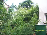 100_1793.webp