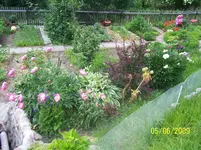 100_1795.webp