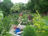 100_1798.webp