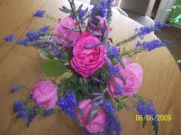 100_1799.webp