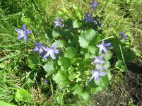 20090607_8604.webp
