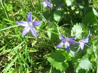 20090607_8601.webp