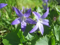 20090607_8603.webp