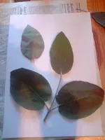 P020609_19.44.webp