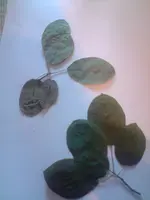 P020609_19.47.webp