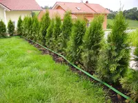 IMGP4333.webp