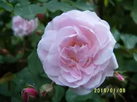 S4300017-1.webp