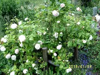S4300008.webp