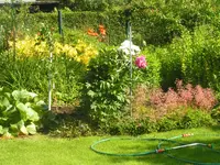 2009 -5 Garten Rasen 063.webp