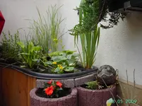 PICT2188.webp